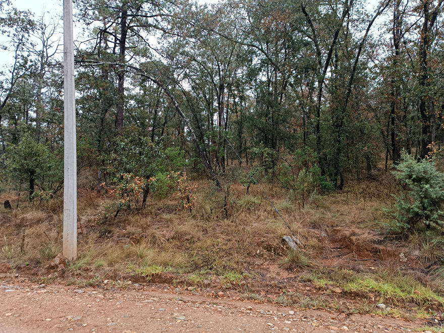 casas en venta en Pachuca